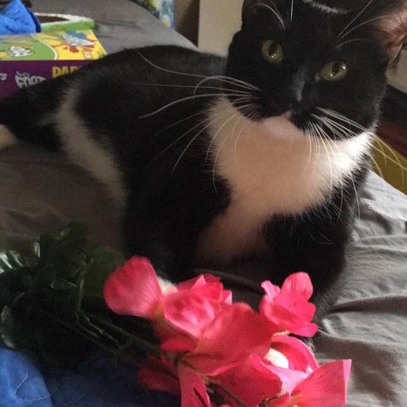 HANDMADE SHARE SHOW. DO NOT BID - Picture 3 of 14